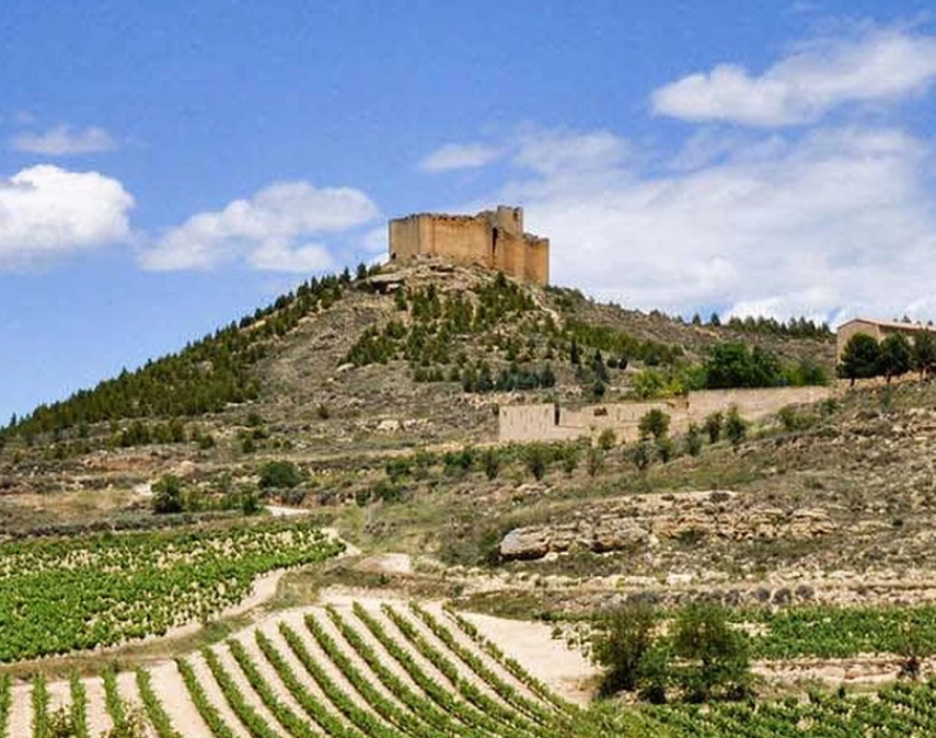 Miguel Ortega — Ribera del Duero, Spain