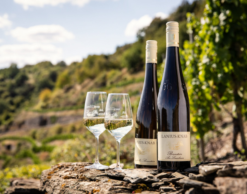 Himmelsbach Family — Moselle, Germany