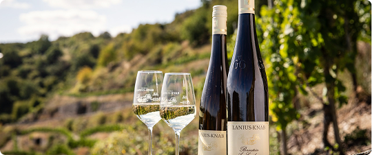Wine collection